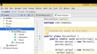 Interface as a return type, local variable, instance variable or as parameter