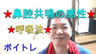 【ボイトレ】鼻腔(共鳴)の感性を開発する呼吸法