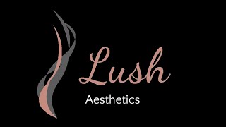 Holiday Season at Lush Aesthetics, Georgetown