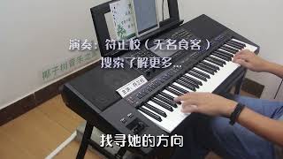 邓丽君《在水一方》电子琴演奏