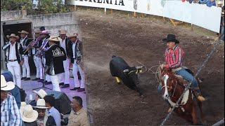 MUERE TORO EN LA PLAZA - LAS TROJES MUNICIPIO DE ALVARO OBREGON DIA 11/01/2025