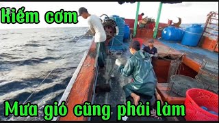 Đánh bắt cá trên biển mùa mưa gió lạnh kiếm đồng tiền không đơn giản