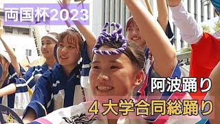 【阿波踊り】徳島４大学合同 両国杯2023、 徳大(雷連)、鳴教(鳴響連)、文理大学連、四国大学連