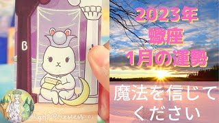 蠍座さん♏️⭐️【2023年1月の運勢⭐️】追い風の吹く1月🌟お相手様の言葉を勘ぐらないで、まっすぐ見てあげて💖あなた様のポジティブなメッセージを届けましょう🌟