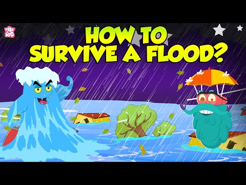 What should we do when flood occurs?