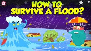 How To Survive Floods? | Preparing For A Flood | The Dr Binocs Show | Peekaboo Kidz