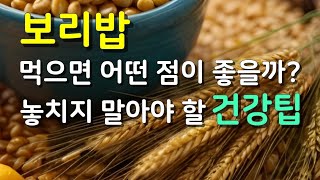 건강상식. 보리밥 먹으면 어떤 점이 좋을까요. 놓치지 말아야 할 건강 팁 보리밥효능