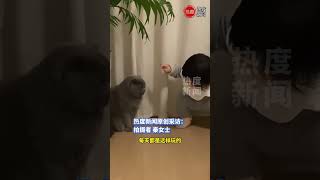 宝宝想逗弄家中的猫一起玩耍，猫咪“打”宝宝后一脸肆无忌惮，猫咪：我打了，你看着办吧