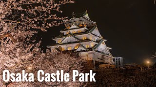 大阪城公園の桜 2024 Osaka Walk - Cherry blossoms at Osaka Castle Park 4K HDR Japan Sony α7CⅡ