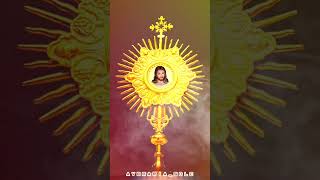 நற்கருணை ஆராதனை|HOLY EUCHARIST #holyeucharist #jesus #mothermary #avemaria_sdlc