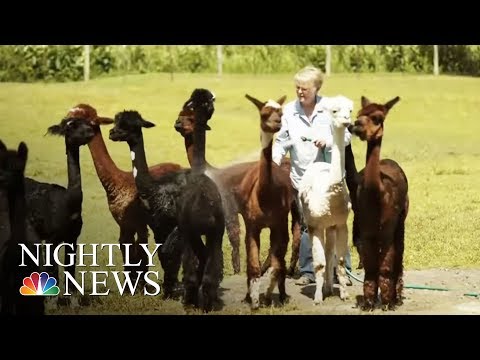 Hobby Farming On The Rise, Especially Among Retirees | NBC Nightly News Hobby Farming On The Rise, Especially Among Retirees | NBC Nightly News