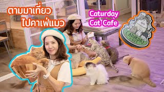 ตามมาเที่ยว น้องแก้มไปคาเฟ่แมว -  Caturday Cat Cafe (ราชเทวี)