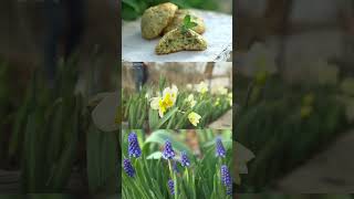 Mint cookies time...(in vlog⬆️) #slowliving #slowlife #homecafe #aestheticvlog #gardening #cozyvlog