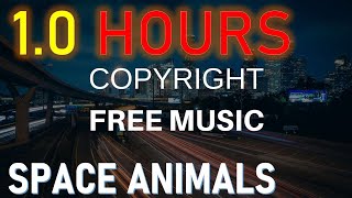 Space Animals | Eijuba | 1.0 Hours | Copyright Test of Cool Music for Videos | Verified