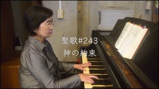 聖歌#243「神の約束」