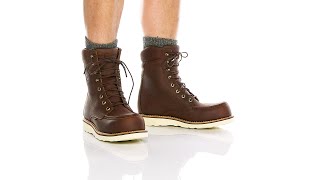 Chippewa 8\