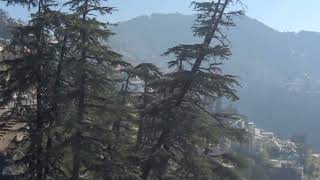 kalka - Shimla tour