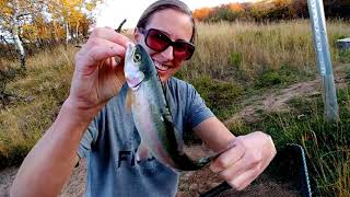 100 Days: How Big Did Our 3-Inch Rainbow Trout Grow in 100 Days? And More