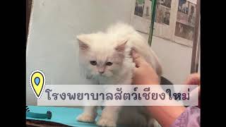 คลิปฝึกงาน 𐂂