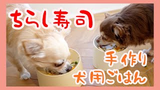 【手作り犬用ごはん】🐶犬も食べれるちらし寿司をつくってお祝いしてみた【チワワのメロとミルク】【チワワの多頭飼い】【ひな祭り】