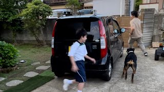 【大型犬と男2人】グダグダ鬼ごっこ #ロットワイラー