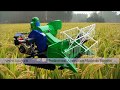 mini combined harvester and thresher machine for rice and wheat / rice wheat harvester machine