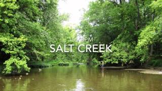 Salt Creek - Medium Tempo - The Bluegrass Jam