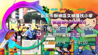 文林國小111學年度一三五年級編班作業