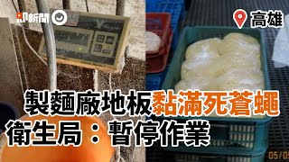 高雄製麵廠地板黏滿死蒼蠅　衛生局：暫停作業｜環境｜食安｜麵條