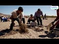 4. inmigrantes chinos en baja california de 1920 a 1930