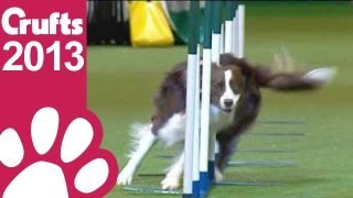 Agility - Kennel Club Novice Cup - Agility - Crufts 2013