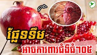 ឧស្សាហ៍ញុំាផ្លែទទឹម នឹងអាចជួយការពារអ្នកពីជំងឺធំៗទាំង០៥/Be Healthy