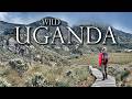 Uganda’s Hidden Wild: 5 Days in Africa’s Surreal Alpine Wilderness
