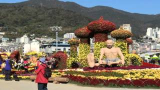 마산가고파국화축제15,10,31 pds