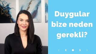 DUYGULAR BİZE NEDEN GEREKLİ?