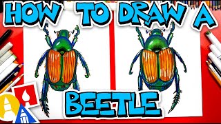 How To Draw A Japanese Beetle