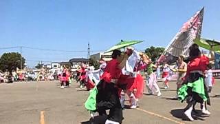 夜桜金魚とまこまいJAPAN（2013年6月8日）