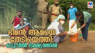 ഏറ്റവും വലിപ്പം കൂടിയ ആമയുടെ മുട്ട പയസ്വിനിപ്പുഴയില്‍ | Giant Softshell Turtle |