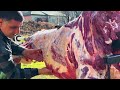 Cooking Shawarma From A Whole 100kg BULL On A Spit! A Grand Dish For All Children