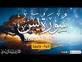 World's most beautiful Quran recitation of Surah Yasin (Yaseen) سورة يس | ZAID ALZUBIDI 2024