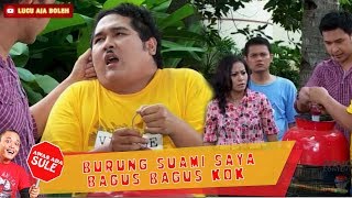 BURUNG SUAMI SAYA BAGUS-BAGUS KOK - AWAS ADA SULE