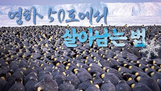 세계 평화를 위해 가장 중요한 일 한가지 (feat. 마더데레사) | 가톨릭꽃동네대학교 주일강론 김승주신부님