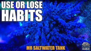 Use or Lose? Reefing Habits After 17 Years  - Mark Callahan - Mr. Saltwater Tank