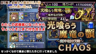 【DFFOO】光喰らう魔竜の顎 CHAOS BT無し女騎士と義弟 恩恵なし