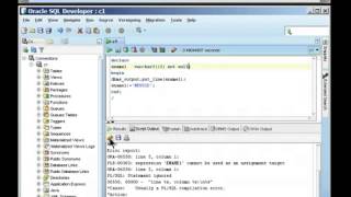 Oracle pl sql tutorial - Declaration Section #3