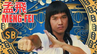 孟飛 MENG FEI  ✨Actor, Martial Arts Practitioner, and Singer . Kung fu Shaw brothers movie