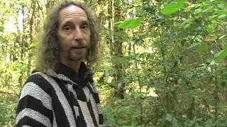 Oregon Herb Walk with Howie Brounstein