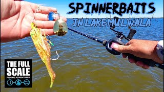 SPINNERBAITS in Lake Mulwala | Murray Cod | The Full Scale