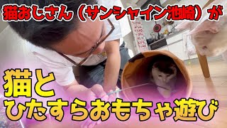 【保護猫ライフ】猫おじさんことサンシャイン池崎が猫とひたすらおもちゃで遊びました