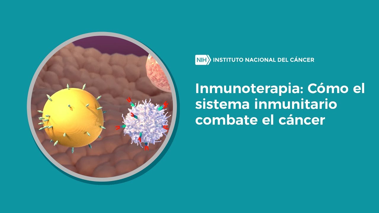 Inmunoterapia: Cómo El Sistema Inmunitario Combate El Cáncer - YouTube